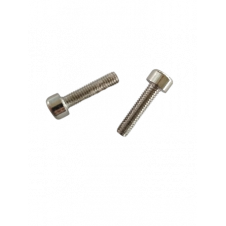 Винт M5X22 2 штуки для теплообменника ГВС Ferroli (44060680)